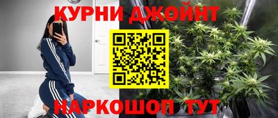 гашик Ливны