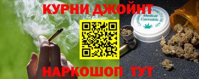 гашик Ливны