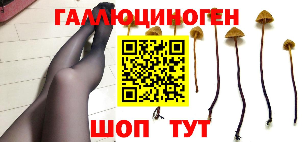 Псилоцибиновые грибы MAGIC MUSHROOMS Вичуга